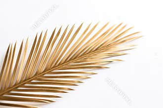 Palm tree branch. Closeup of single shiny golden painted date palm leaf.
