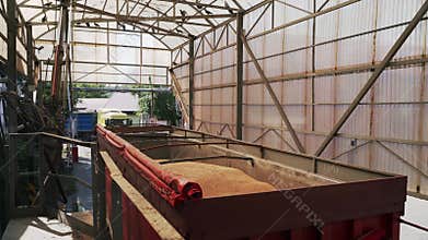 Grain lorry arrives to grain elevator terminal. Dump truck drive over the scales. Wheat in cargo body. Grain shipment