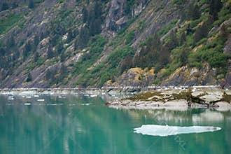 Deep and still, green water with scattered ice in the Endicott Arm, Alaska, USA