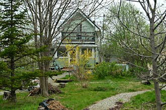 Vintage home garden still life with cottage house, plants, trees and flowers in spring, botanical nature and cottagecore vintage