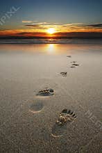 Footprints in sand at beach