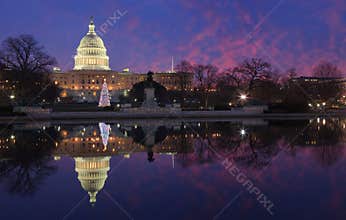 US Capitol Christmas Tree Washington DC Night