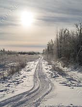 Snowmobile Tracks into sunlight.