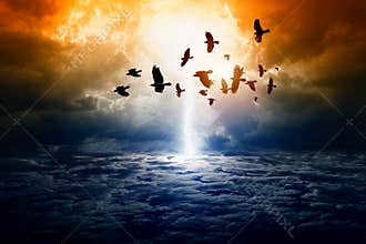 Dramatic nature background