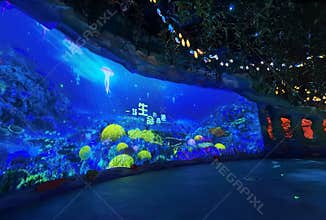 Zhuhai Chimelong Ocean Kingdom Marine Science Park Spaceship Coral Reef Tropical Fish Coral Reef Aquarium Marine Life Scenery