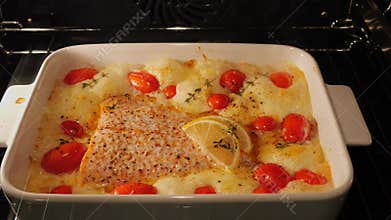 Process of cooking salmon fillet with tomato and mozzarella cheese in the oven. Close up. Time lapse