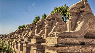 Avenue of ram-headed sphinxes in front of Karnak Temple location Luxor