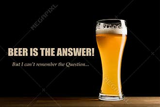Beer is the answer, I can\'t remember the question. Funny Memes