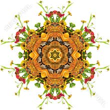 Autumn mandala