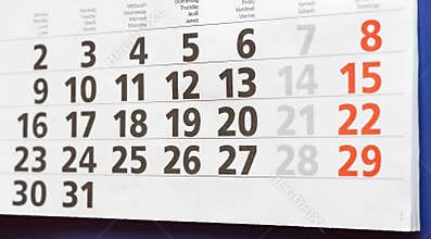 Wall Calendar - Month