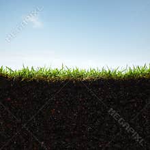 Grass and soil