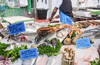 Fresh Fish Market Stall