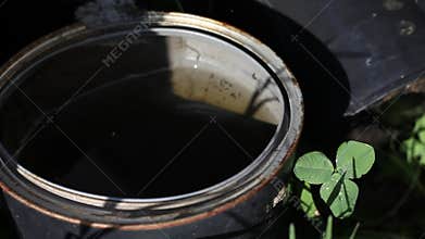 Larvae Festering In Stagnant Water Close Up Water Dripping on Buckets