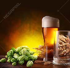 Beer and hops.