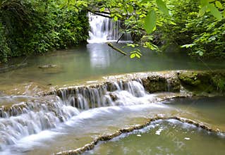 Enjoying pristine Nature