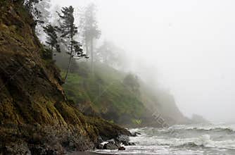 Pacific Coast rugged shoreline rocky fog