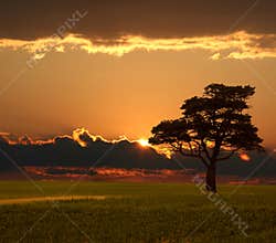 Prairie Sunrise