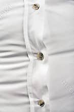 Fat shirt