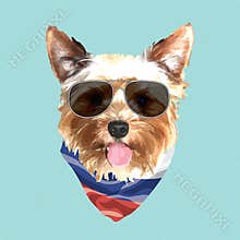 Yorkshire Terrier portrait, Cute cool dog in glasses and Russia flag bandana, Vector illustration