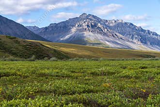 Scenic view of John River valley with Endicott Mountains in Gates of the Arctic National Park,Alaska