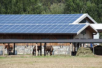 Solar panels farm