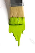 Brush with green paint