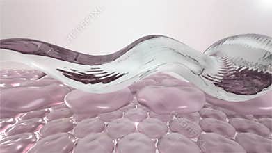 Skin fibers before and after peeling. 3d animation
