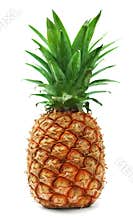 Ripe pineapple