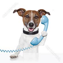 Dog on the phone talking