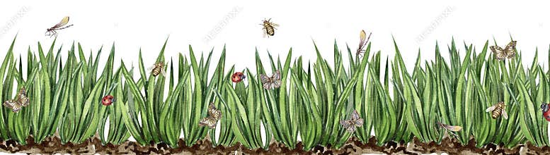 Watercolor horizontal seamless background with grass, insects and flowers. Butterflies in cartoon style. Hand rawn illustration of