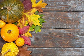 Autumn pumpkins