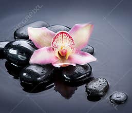 Spa Zen Stones