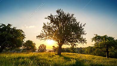 Idyllic rural landscape sunrise, time lapse