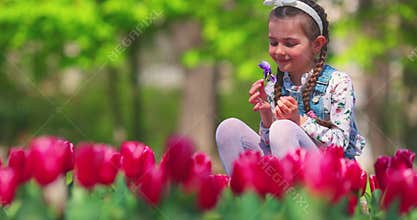 Little beautiful girl in spring garden with blooming flowers tulips and violets, 4k video