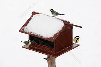 Bird feeder in winter