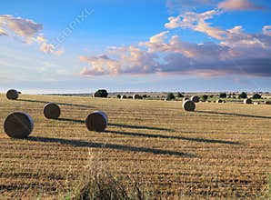 Rural landscape: straw bale in harvested corn fields in Apulia region, Italy.