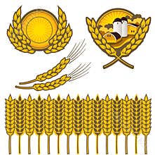 Wheat