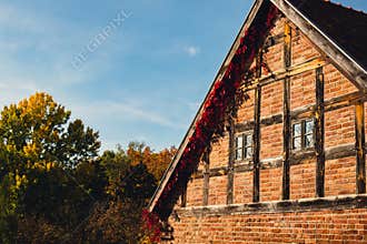 Autumn window in old brick wall covered with leaves in red color. Autumnal fall house atmosphere in sun day.