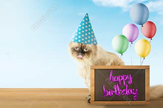 Happy birthday cat