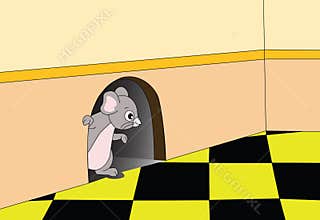 Rat