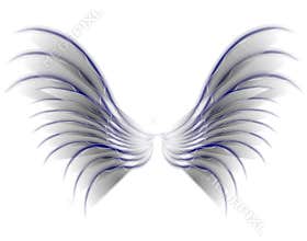Angel Bird or Fairy Wings Grey