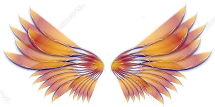 Angel Bird or Fairy Wings Gold