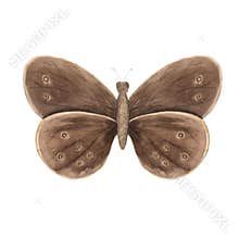 Watercolor beige moth insect