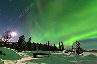 Intense display of Northern Lights Aurora borealis