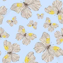Seamless pattern with moth or white butterfly. Hand draw watercolor Insect illustration. Endless background for