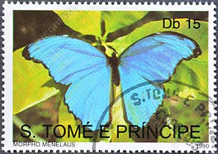 Menelaus Blue Morpho Butterfly (Morpho menelaus)