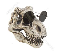 Dinosaur wearing sunglasses isolated