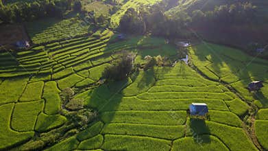 Terraced Rice Field in Chiangmai, Thailand