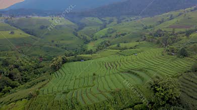 Terraced Rice Field in Chiangmai, Thailand