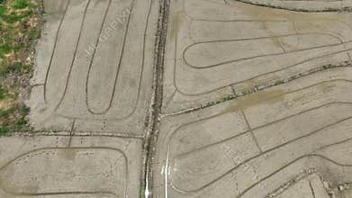 Wet plowed paddy field ready to be cultivate. Farmer plough and levelling soil also helps water distribution in paddy